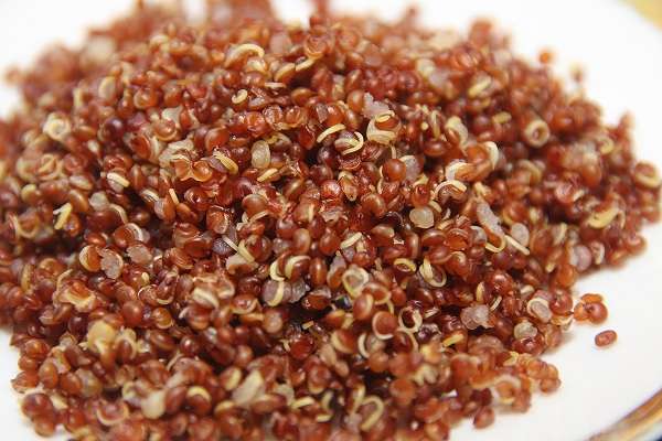 Read more about the article Quinoa: Types, Nutrition Facts, Health Benefits, Side Effects, How To Eat It, and More
